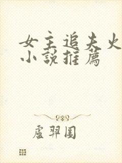 女主追夫火葬场小说推荐