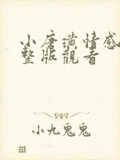 小唐璜情感史完整版观看