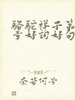 骆驼祥子第18章好词好句