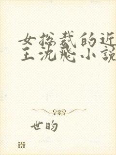 女总裁的近身兵王沈飞小说