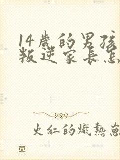 14岁的男孩子叛逆家长怎么办