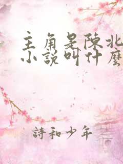 主角是陈北玄的小说叫什么