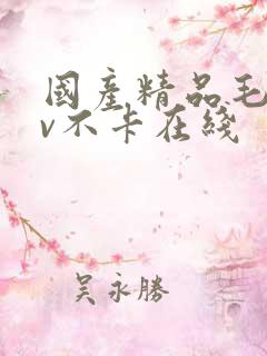 国产精品毛片av不卡在线