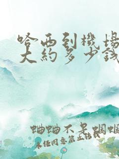 哈西到机场打车大约多少钱