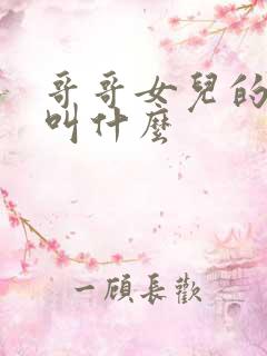 哥哥女儿的儿子叫什么