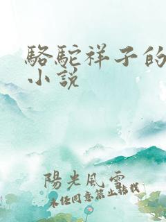 骆驼祥子的长篇小说