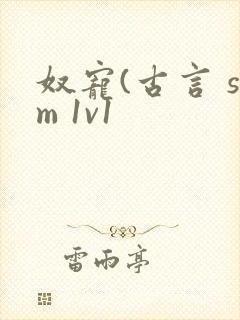 奴宠(古言 sm 1v1