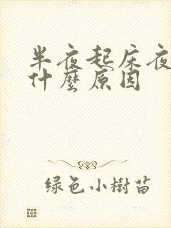 半夜起床夜尿是什么原因
