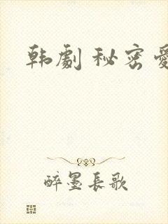 韩剧 秘密爱