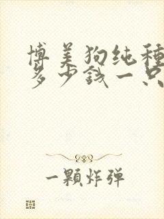 博美狗纯种价格多少钱一只