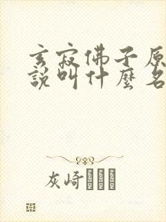 玄寂佛子原著小说叫什么名字