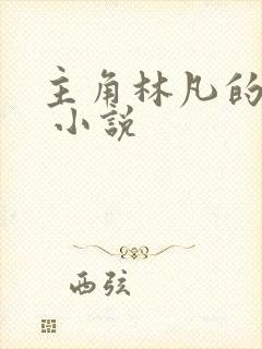 主角林凡的小说 小说
