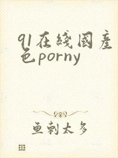 91在线国产九色porny