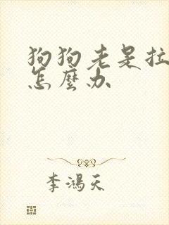 狗狗老是拉软便怎么办