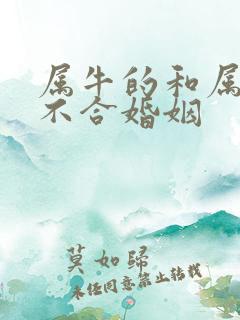 属牛的和属羊合不合婚姻
