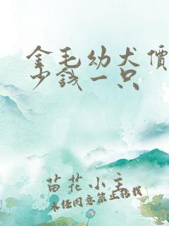 金毛幼犬价格多少钱一只