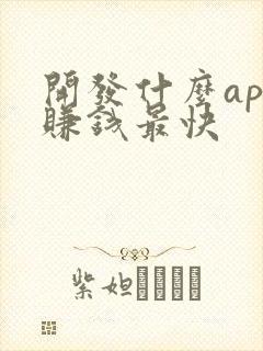 开发什么app赚钱最快