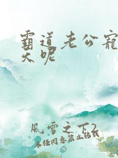 霸道老公宠妻上天呢