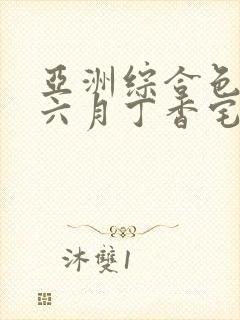 亚洲综合色婷婷六月丁香宅男大增