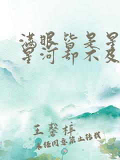 满眼皆是星河,星河却不及你