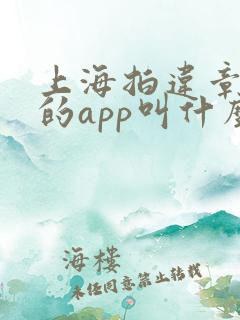 上海拍违章挣钱的app叫什么 上海拍违章挣钱的app叫什么
