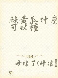 秋黄瓜什么时候可以种