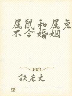 属鼠和属兔的合不合婚姻