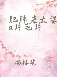 肥胖老太婆aaa片毛片