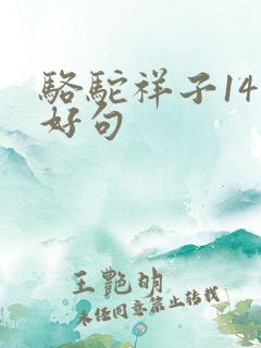 骆驼祥子14章好句
