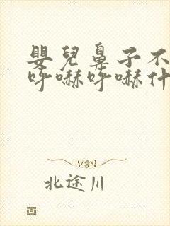 婴儿鼻子不通气呼哧呼哧什么原因