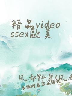 精品videossex欧美