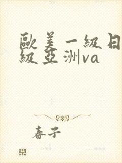 欧美一级日韩一级亚洲va