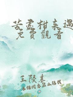 苦尽柑来遇见你 免费观看