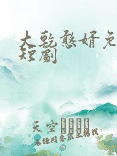 大乾憨婿免费看短剧
