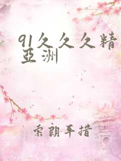 91久久久精品亚洲