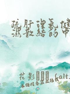 疏肝理气健脾祛湿散结的中成药