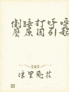 侧睡打呼噜是什么原因引起的