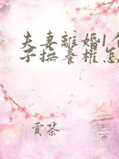 夫妻离婚1个孩子抚养权怎么判定