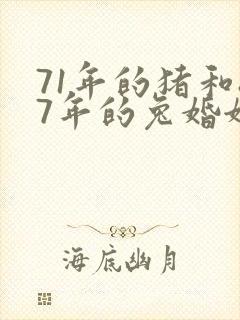 71年的猪和87年的兔婚姻合吗