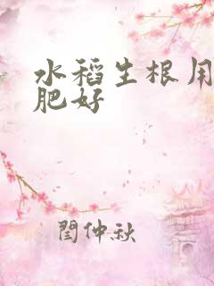 水稻生根用什么肥好
