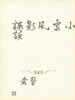 谍影风云小说小说