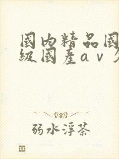 国内精品国产三级国产aⅴ久