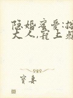 隐婚蜜爱:总裁大人,宠上瘾 完结