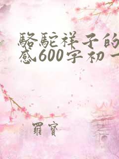 骆驼祥子的读后感600字初一