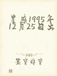 农历1995年12月25日出生八字