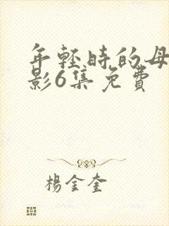 年轻时的母亲电影6集免费