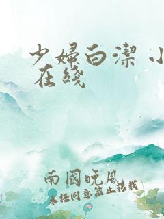 少妇白洁 小说 在线