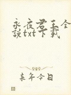 永夜君王全本小说txt下载