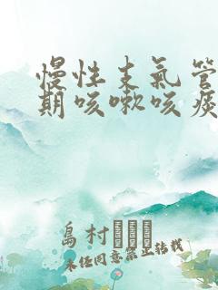 慢性支气管炎长期咳嗽咳痰怎么办吃什么药