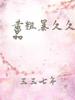 黄粗暴久久久精品
